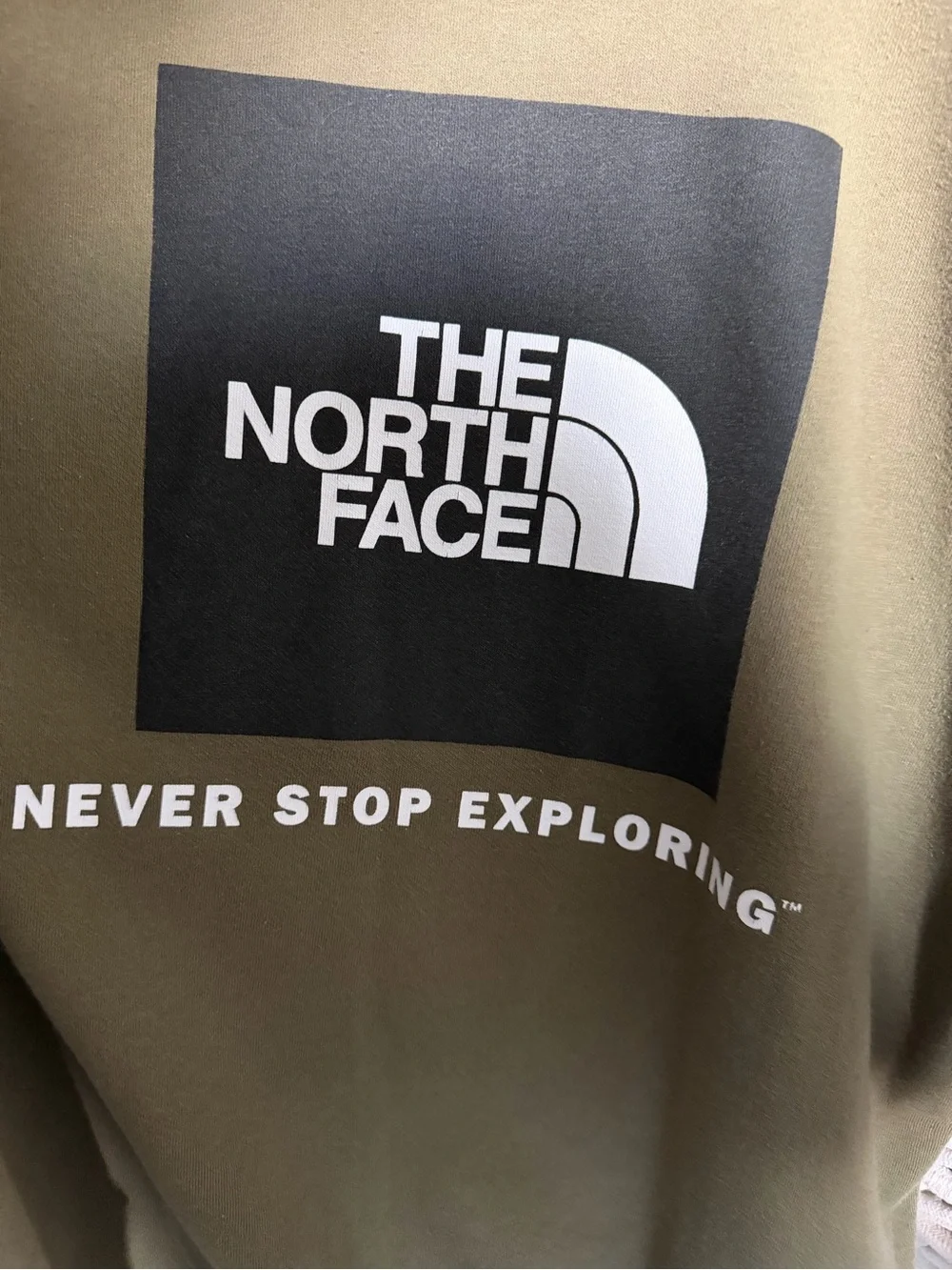 North face hoodie